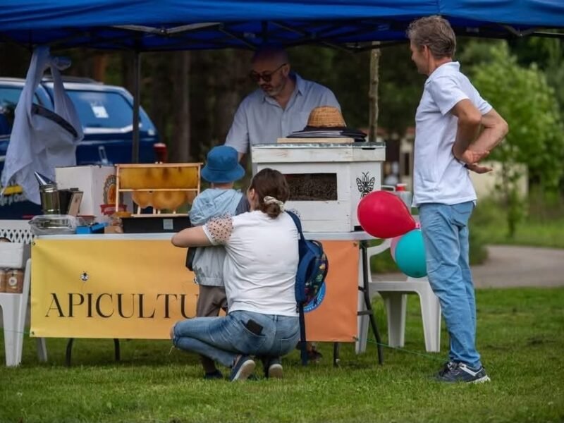 Orășelul Copiilor, Gura Humorului, iunie 2026